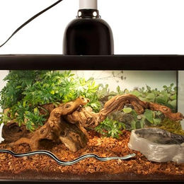 Zoo Med Repti Bark Terrariendekoration aus Kork für Echsen und Fische 4200g – Bild 1 von 4