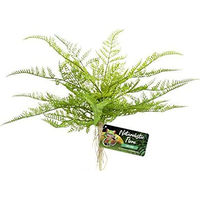 Produktbild von Zoo Med Spitze Farn Grün Schwarz