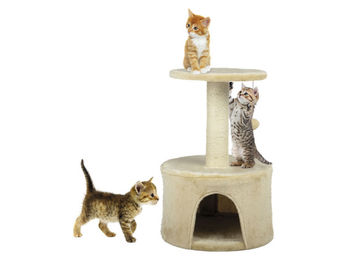 Zoofari Katzen Kratzbaum für Kitten und kleine Katzen – Bild 1 von 1