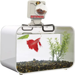 Produktbild von Zoomed Betta BF1 Futterspender für Süßwasserfische wie Goldfische in Braun und Transparent