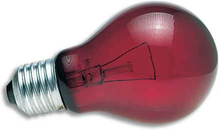 Produktbild von Zoomed NR40 Infrarotlampe Nachtlicht für Reptilien und Vögel