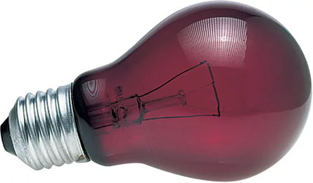 Produktbild von Zoomed NR60 Rotlichtlampe für Reptilien und Vögel aus Glas