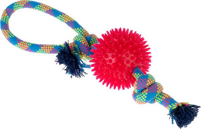 zooplus Basics Hundespielzeug Seil mit Ball aus TPR für mittlere Rassen in Bunt – Bild 1 von 1