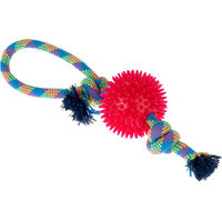 Produktbild von zooplus Basics Hundespielzeug Seil mit Ball aus TPR für mittlere Rassen in Bunt