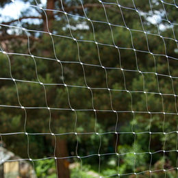 Produktbild von zooplus Katzennetz transparent aus Kunststoff für Wohnungskatzen 6 x 3 m - 18 m