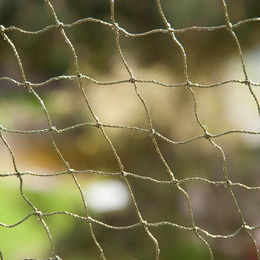 Produktbild von zooplus Katzenschutznetz drahtverstärkt grün 4 x 3 m