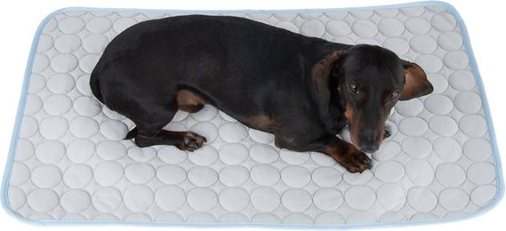 Produktbild von zooplus Kühldecke Bubbles Hundedecke aus Polyester 90 x 50 cm