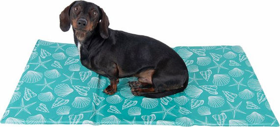 Produktbild von zooplus Kühlmatte Bondi für Hunde in Türkis 50 x 90 cm