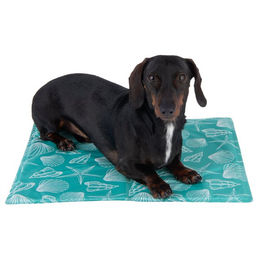 Produktbild von zooplus Kühlmatte Bondi für Hunde und Katzen Türkis 40 x 50 cm