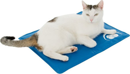 Produktbild von zooplus Kühlmatte Keep Cool für Hunde Blau Größe S 50 x 40 cm