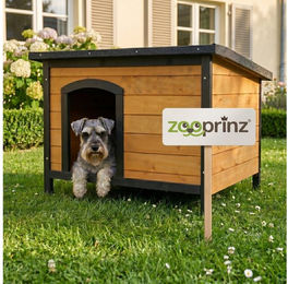 Zooprinz Hundehütte Carlo aus massivem Holz in Braun für kleine Hunde Größe M – Bild 1 von 11