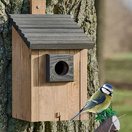 Zooprinz Meisenkasten aus Holz für Wildvögel mit Räuberschutz in Braun – Bild 1 von 13