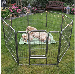 Zooprinz Welpenlaufstall aus Metall in Silber mit 1 Türelement und individuell erweiterbaren Höhen 70 cm 80 cm 100 cm – Bild 1 von 5