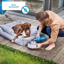 ZooRoyal Hunde-Nassfutter Hühnerherzen getreidefrei mit hohem Fleischanteil 6x800g – Bild 1 von 3