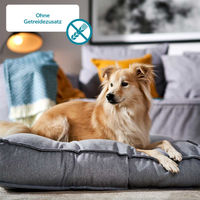 Produktbild von ZooRoyal Hunde-Nassfutter Rind mit Pansen getreidefrei für Adult 6x400g