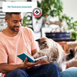 ZooRoyal Kitten Nassfutter Rind Kalb und Huhn mit hohem Fleischanteil 12x400g – Bild 1 von 2
