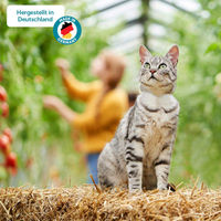Produktbild von ZooRoyal Minkas Naturkost Katzenfutter Huhn und Lachs für erwachsene Katzen getreidefrei und ohne Zucker 16x100g