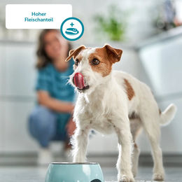 Produktbild von ZooRoyal Pastete Huhn mit Pute und Naturreis für Adult Hunde 9x300g