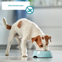 Produktbild von ZooRoyal Saftige Pastete mit Rind und Leber für Hunde Adult Getreidefrei und Ohne Zucker 15x175g