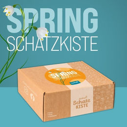 Produktbild von ZooRoyal Schatzkiste Hund Spring-Edition aus Pappe in Braun